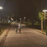 Feride Çetin Instagram - Serçeler kalbimdir #geceyolcuları #ferideanahayatkiz Antalya Kaleiçi
