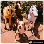 Finn Wolfhard Instagram - Posted @withregram • @poonehghana One more week left of the shirt fundraiser and collectively, I’m thrilled to say we have raised just over $44,000 for charity so far since June 1st. 🤯 In what’s been quite a grim and overwhelming week, remembering how many people and important causes we are going to help with this money (because of y’all!) has been a real beacon of joy and I can’t express my gratitude enough. A massive thanks to each of you, again and forever. Campaign ends July 31st and shirts via @trrblmrch will be shipped out the first half of August. I will also share donation receipts after we wrap. Link in @poonehghana bio. ❤️❤️