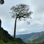 Franciely Freduzeski Instagram - Me despeço de 2023 no meio da natureza, ouvindo os passarinhos cantar, abraçando árvores,tomando banho de cachoeira, cuidando da minha alma, do meu interior!!! Fiz o melhor que pude em 2023, aprendi tanta coisa e errei um monte também. Cada ano é um ano a menos nesse planeta, então bora viver, amar, cantar, dançar, chorar de alegria e estar ao lado de pessoas que tenham papéis importantes na nossa vida. “Nada do que foi será De novo do jeito que já foi um dia Tudo passa, tudo sempre passará A vida vem em ondas, como um mar Num indo e vindo infinito” Tudo o que se vê não é Igual ao que a gente viu há um segundo Tudo muda o tempo todo no mundo” Ibiti Projeto