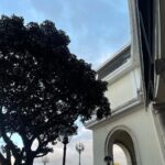 Francisco Soares Instagram – last 24hours photodump ✨ I feel happy and grateful and just wanted to share