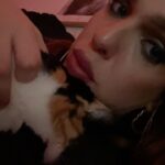 Francisco Soares Instagram - 16 anos dizem que é muito tempo para um gato viver. mas eu queria outros 16. hoje acordei e não te senti ao meu lado e não sei meter em palavras o vazio e dor que sinto. nunca te vou esquecer, Monga ❤️