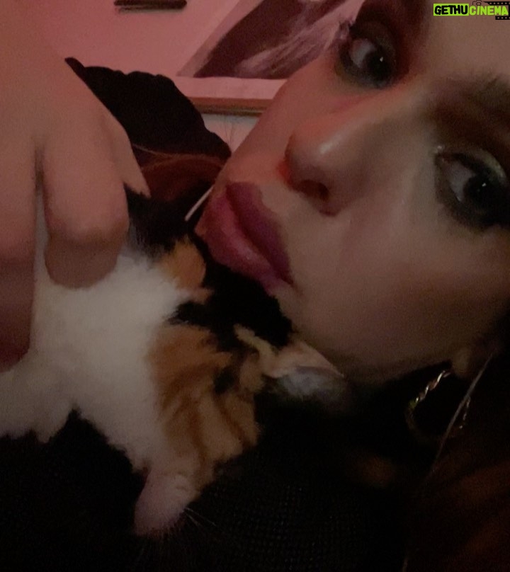Francisco Soares Instagram - 16 anos dizem que é muito tempo para um gato viver. mas eu queria outros 16. hoje acordei e não te senti ao meu lado e não sei meter em palavras o vazio e dor que sinto. nunca te vou esquecer, Monga ❤️
