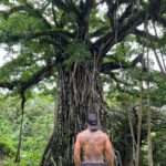 Frank Camacho Instagram – Trongkon Nunu giya Maliluk Luta
.
The largest Taotao Mona tree in Maliluk Rota CNMI. Biba Taotaota yan Biba Marianas 🇲🇵🇬🇺