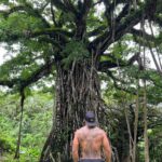 Frank Camacho Instagram - Trongkon Nunu giya Maliluk Luta . The largest Taotao Mona tree in Maliluk Rota CNMI. Biba Taotaota yan Biba Marianas 🇲🇵🇬🇺