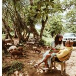 Frank Camacho Instagram - Babe.. let’s build a farm. #farm #thecranks #living #meaning Rota, the Northern Marina Islands ,北馬里亞納群島