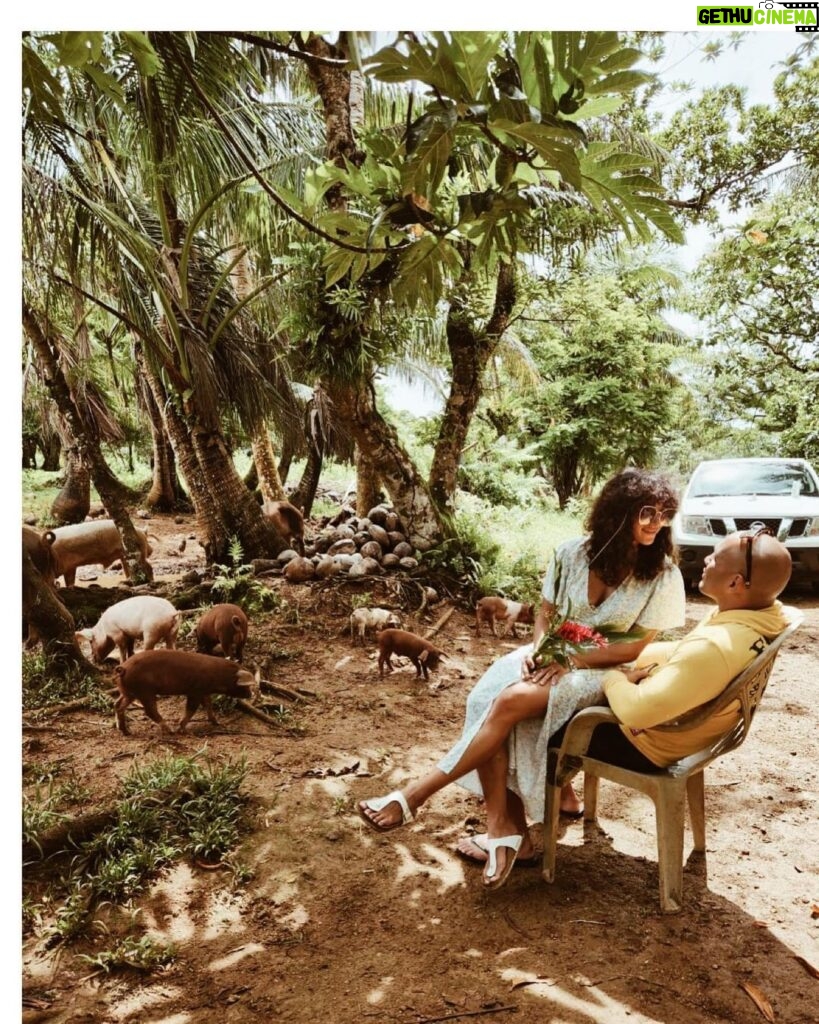 Frank Camacho Instagram - Babe.. let’s build a farm. #farm #thecranks #living #meaning Rota, the Northern Marina Islands ,北馬里亞納群島