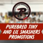 Frank Camacho Instagram - ⚡️EARNED! Congratulations Tiny & Little @purebredbjjguam SMASHERS! Thank you to the all the parents & family for trusting us in their lifelong martial arts journey! BIBA #PurebredJiujitsu 🥋