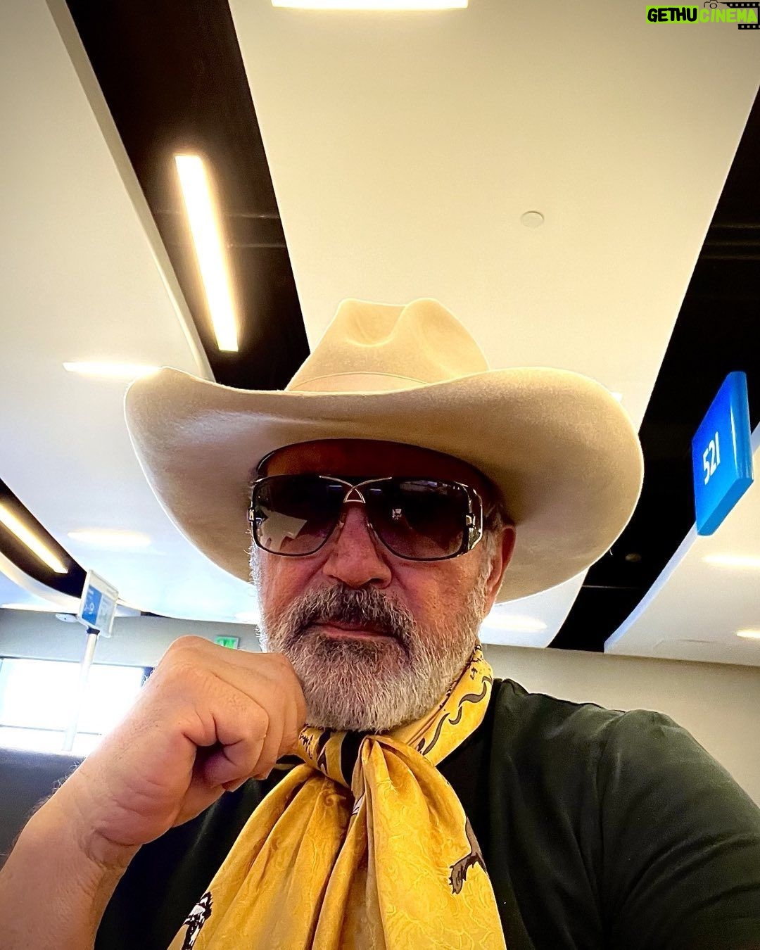 Frank Stallone Jr. - 1K Likes - Good morning world make it your best day. 🐎🐎