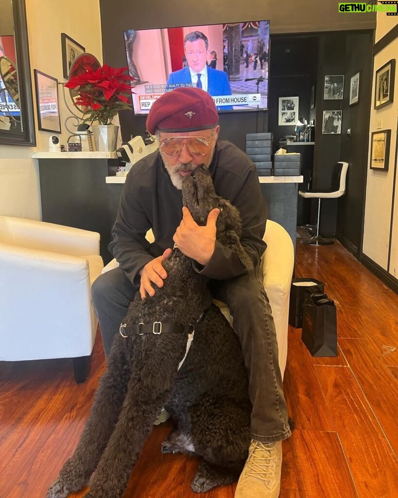 Frank Stallone Jr. Instagram - I've always loved standard Poodles, I'm here with Melvin at my pal Rob Mione Eye Bar in Beverly Hills. My favorite place where I buy all my glasses. @eyebarbh @Rob Mione #standardpoodle