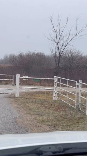 Frank Stallone Jr. Instagram - Fences are very important in the country to keep the unwanted out and the horses in.🇺🇸
