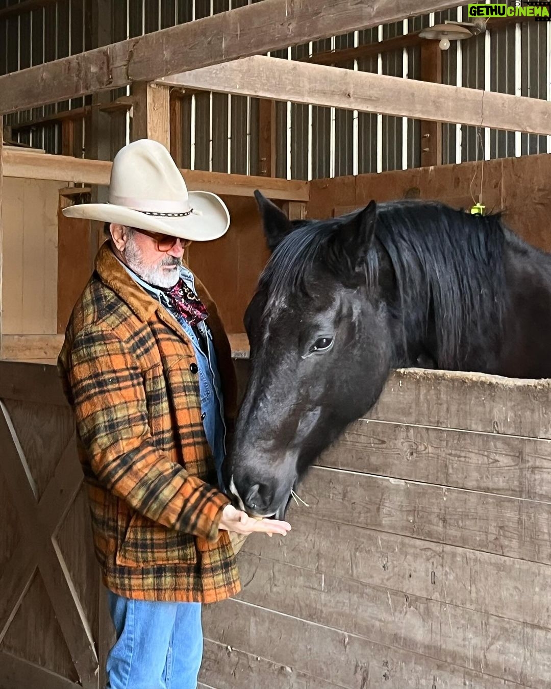 Frank Stallone Jr. - 1.3K Likes - Horses 🐎 need love too! I'm the Horse Lover . #stetson #horses @hbarcofficial @stetsonusa @lucchese #cowboys