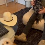 Frank Stallone Jr. Instagram - Dog adventures with Uncle Frank with Benji , Banksi and Bonnie my hair dressers dogs . Always an adventure. #dogs