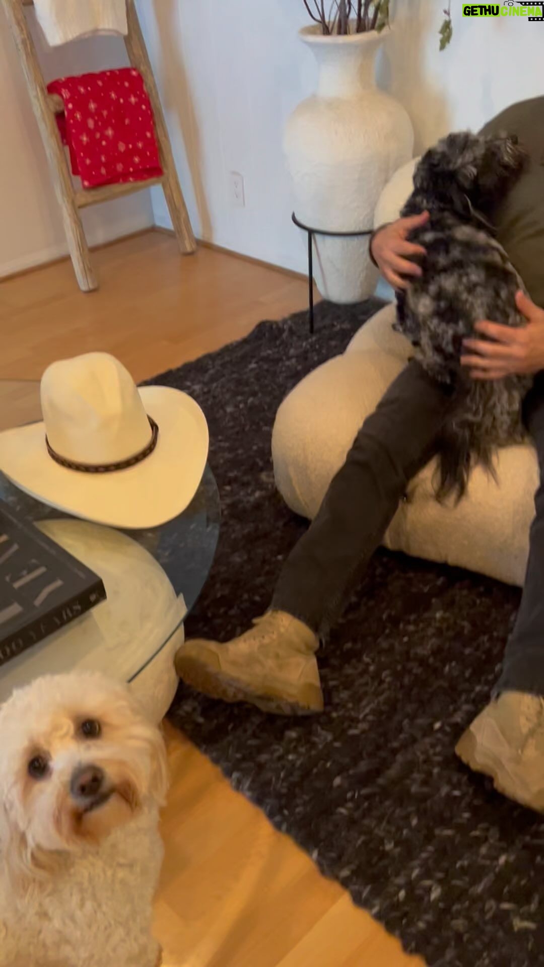 Frank Stallone Jr. - 2.9K Likes - Dog adventures with Uncle Frank with Benji , Banksi and Bonnie my hair dressers dogs . Always an adventure. #dogs