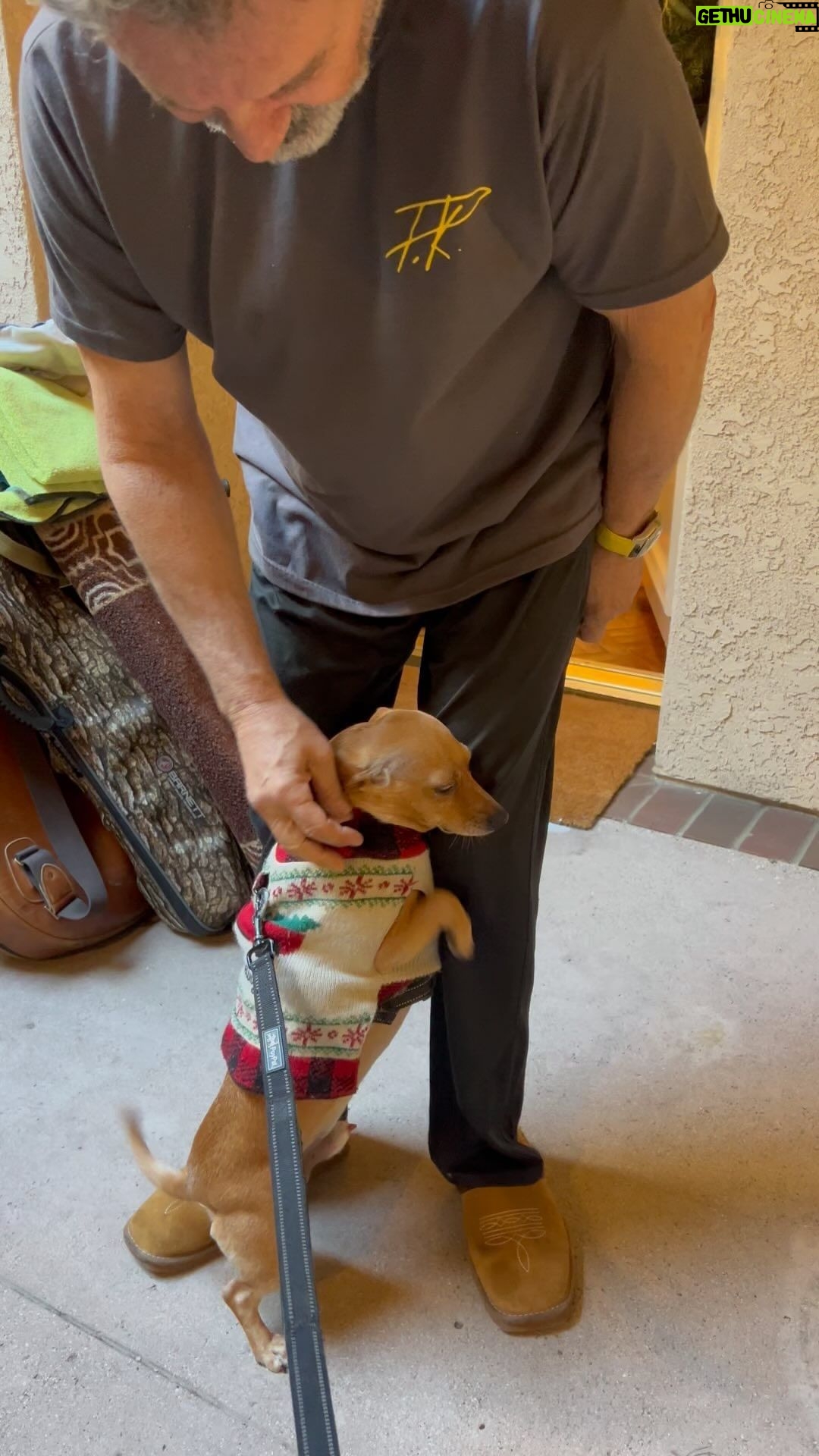 Frank Stallone Jr. - 1.1K Likes - Romeo came to greet me with Christmas cheer. Adorable doggy