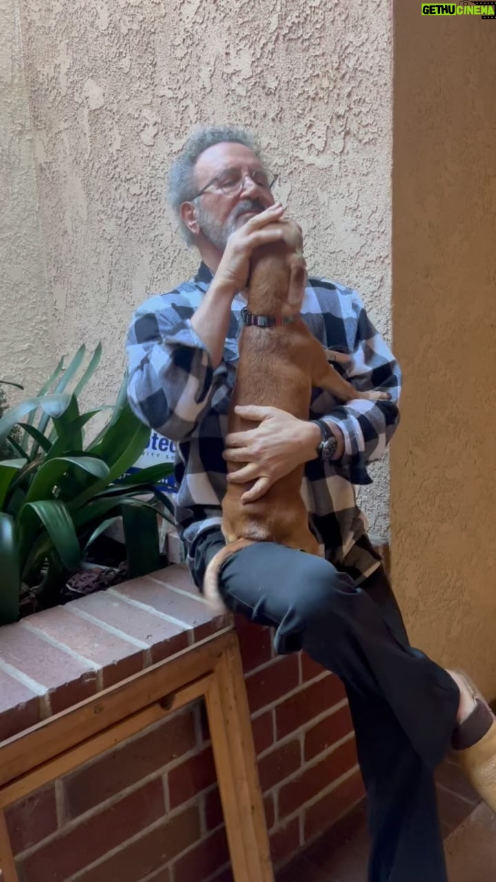 Frank Stallone Jr. - 3.1K Likes - Me playing with neighbors dog Romeo, he's such a sweet dog.