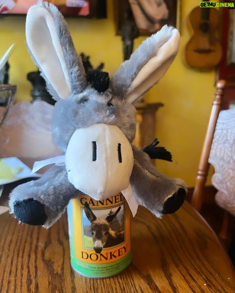 Frank Stallone Jr. Instagram - Canned Donkey rules. #donkeys