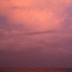 Frida Gustavsson Instagram - fire island by wolfgang tillmans (2015, detail)