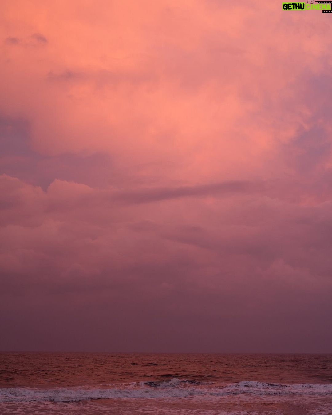 Frida Gustavsson Instagram - fire island by wolfgang tillmans (2015, detail)