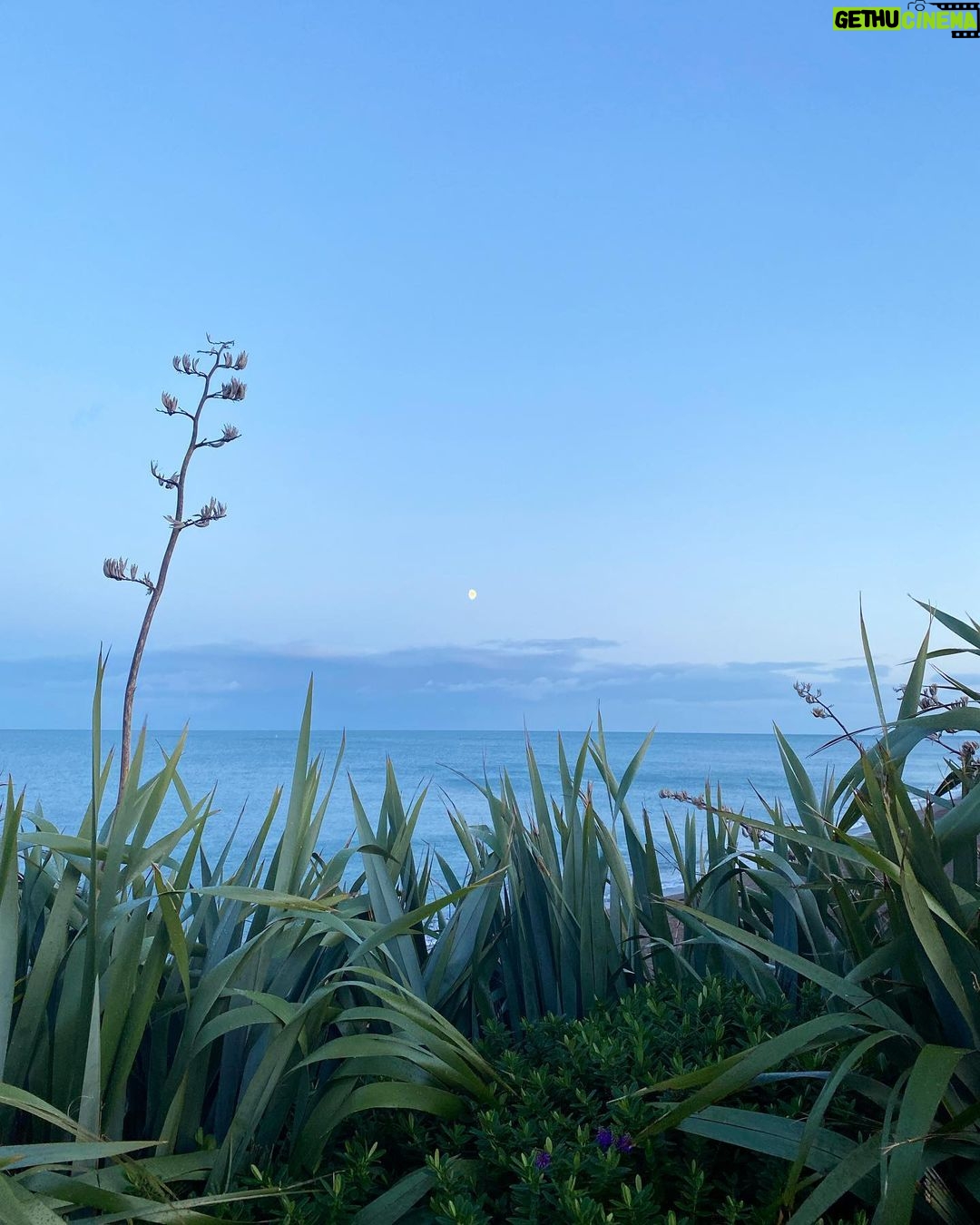 Frida Gustavsson Instagram - a new dawn rises 💙