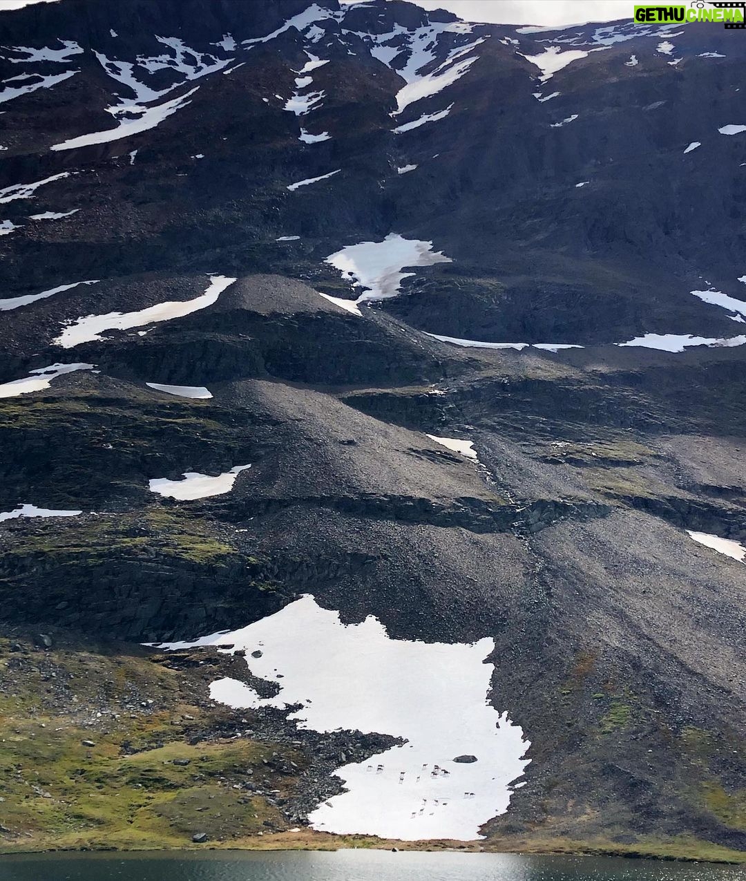 Frida Gustavsson Instagram - det stora äventyret :~) Stora Sjöfallet National Park