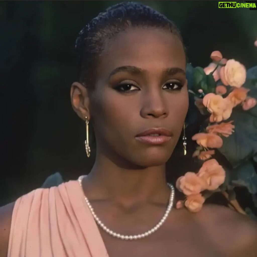 Gabrielle Dennis Instagram - The young woman the world was first introduced to in 1985 began her journey well before she won our hearts and to this day we still love us some Whitney Houston... the woman, the album, and the legacy ❤️ Now excuse me while I properly celebrate her with a full blown concert in my home 🎼🎼 my work day might be over but my night is just beginning, sis discography is STRONG lol Happy Heavenly Birthday Whitney 🕊 #WhitneyHouston