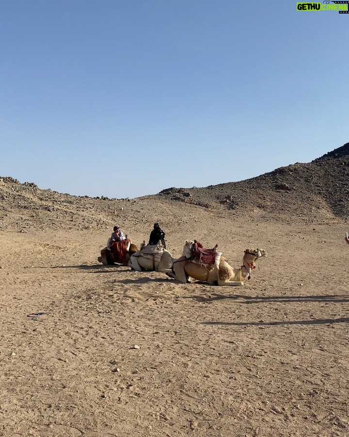 Gabrielle Marion Instagram - Il faisait chaud. En revenant, on a mis nos maillots 🥵🐫 #egypt #desert Desert, Red Sea, Egypt