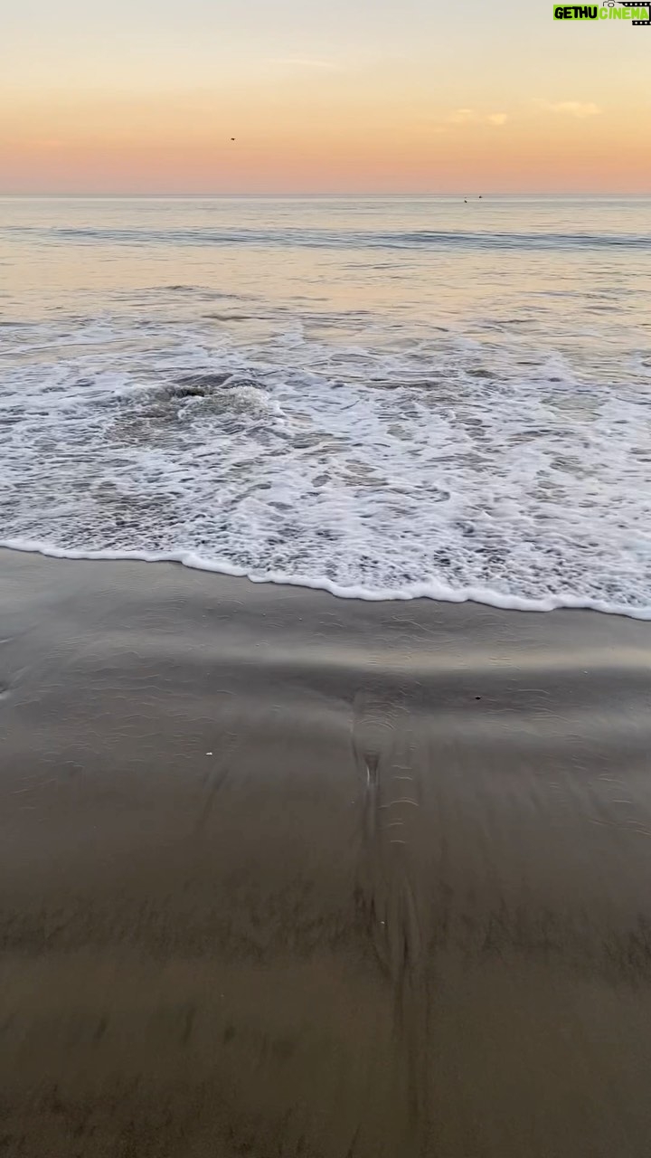 Gal Gadot Instagram - I love the ocean, I always feel like the waves breathe life into me, they give so much peace and calmness, they ease my mind and fill me with joy π We need healthy oceans not only as a pretty getaway but to survive and thrive and we need to start taking better care of them. Head over to my story to find more about #OceanDay π Pacific Ocean