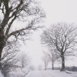 George Hardwick Instagram - Walking in a winter wonderland Sizergh Castle Woodland Trail
