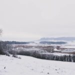 George Hardwick Instagram – Walking in a winter wonderland Sizergh Castle Woodland Trail