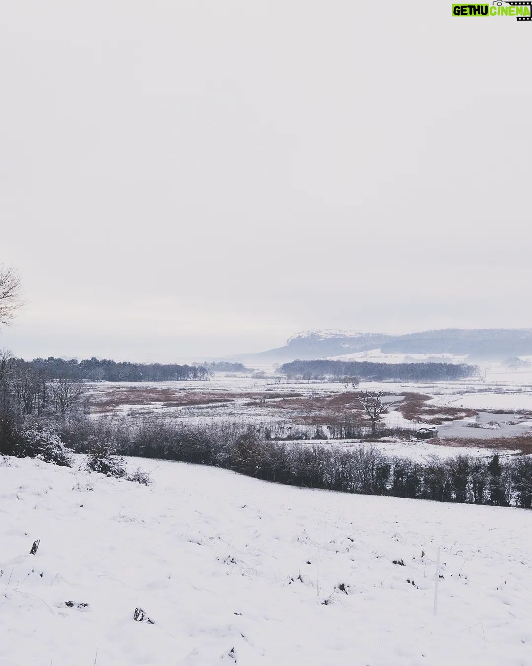 George Hardwick Instagram - Walking in a winter wonderland Sizergh Castle Woodland Trail