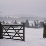 George Hardwick Instagram - Walking in a winter wonderland Sizergh Castle Woodland Trail