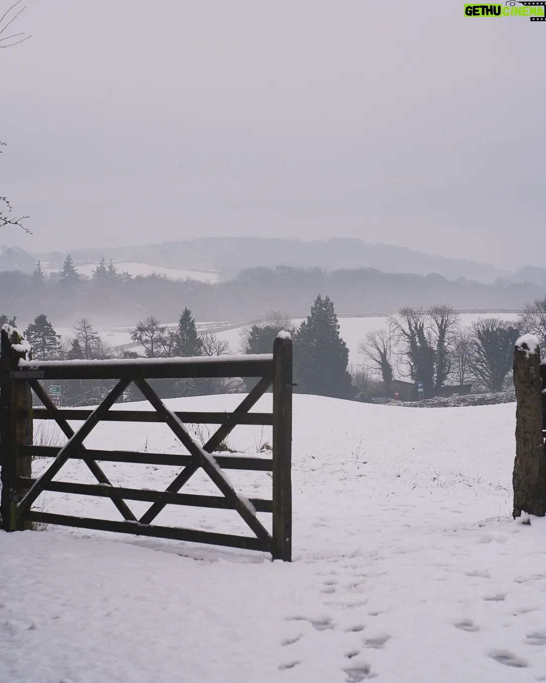 George Hardwick Instagram - Walking in a winter wonderland Sizergh Castle Woodland Trail