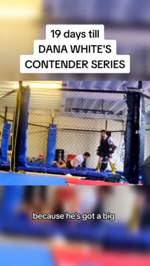 George Hardwick Instagram - Dana White's CONTENDER SERIES Fight Camp Pads BREAKDOWN
#mma #ufc #boxing #muaythai #reels