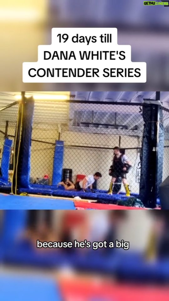 George Hardwick Instagram - Dana White's CONTENDER SERIES Fight Camp Pads BREAKDOWN #mma #ufc #boxing #muaythai #reels