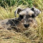 George Robinson Instagram - A creature in the undergrowth