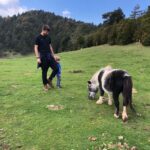 Gerard Piqué Instagram - ⛰