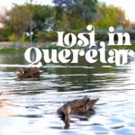 Gerardo Ravelo Instagram - Qro 🦆 #cinematic #queretaro #film