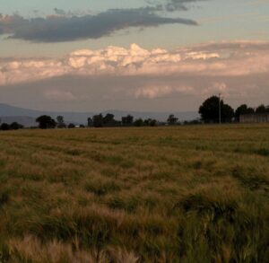 Gerardo Ravelo Instagram - azul y verde 🌾