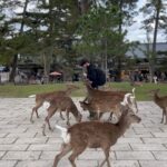 Giacomo Ferrara Instagram - Dōmo arigatō gozaimasu 🙏🏻🇯🇵 Japan