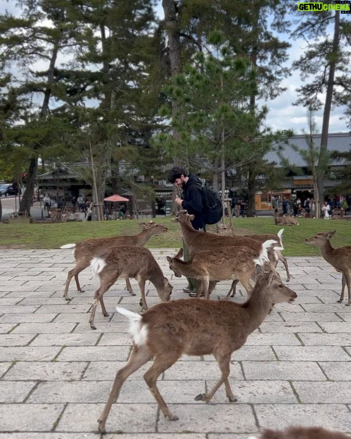 Giacomo Ferrara Instagram - Dōmo arigatō gozaimasu 🙏🏻🇯🇵 Japan