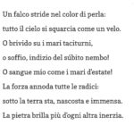Giacomo Ferrara Instagram - Furit Aestus ad ottobre 2020 Ph @barbaraoizmud_photographer