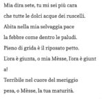 Giacomo Ferrara Instagram - Furit Aestus ad ottobre 2020 Ph @barbaraoizmud_photographer