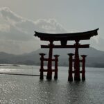 Giacomo Ferrara Instagram - Nippoabruzzese Cit. JAPAN