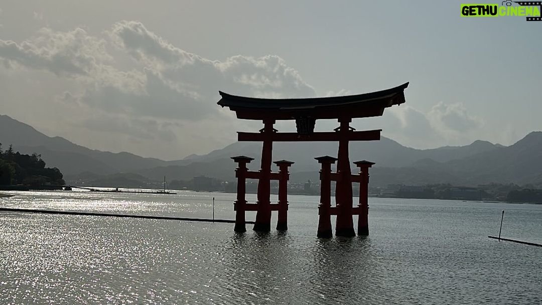 Giacomo Ferrara Instagram - Nippoabruzzese Cit. JAPAN