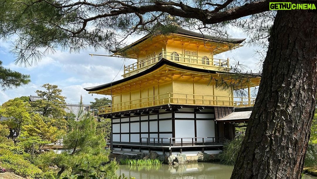 Giacomo Ferrara Instagram - Nippoabruzzese Cit. JAPAN