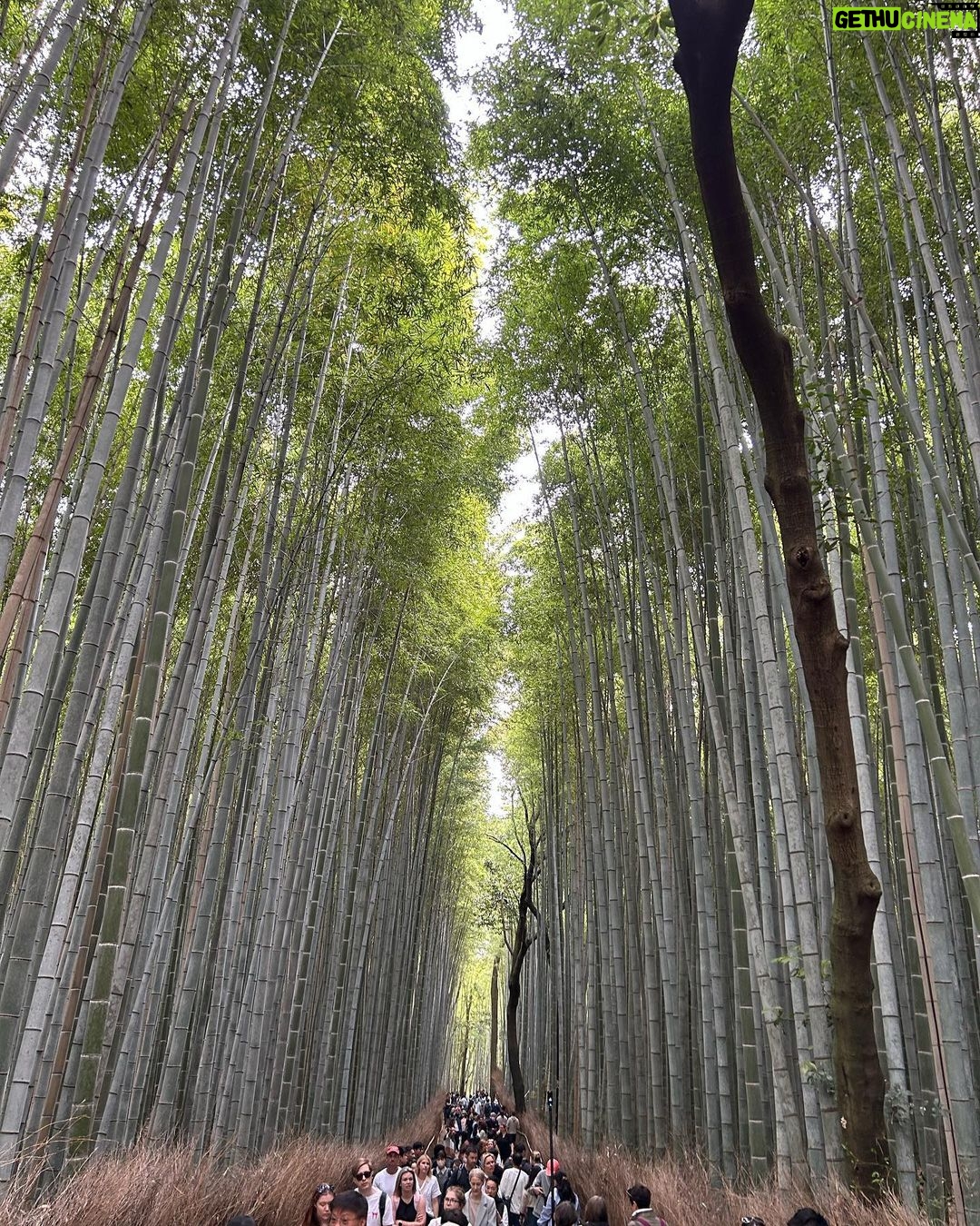 Giacomo Ferrara Instagram - Dōmo arigatō gozaimasu 🙏🏻🇯🇵 Japan