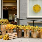 Gigi Hadid Instagram - NYC ! The @GUESTINRESIDENCE “FEEL SHOP” is OPEN ALL WEEK ! Through Sept 17th @ 12 Mercer St, NYC, 11am - 7pm 🌻 Please come see us to feel + shop the “CORE COLLECTION” (+ sip on some @kineuphorics, thanks @bellahadid)! There will be fun lil things goin on in the shop all week :) 📒🪡☕️🌻🍦 HUGE THANKS and love to everyone who stopped by to support us on day 1 of our first retail experience && to my amazing GiR team— without them, none of this would be possible. 💛 I love working with you all so much. @guestinresidence