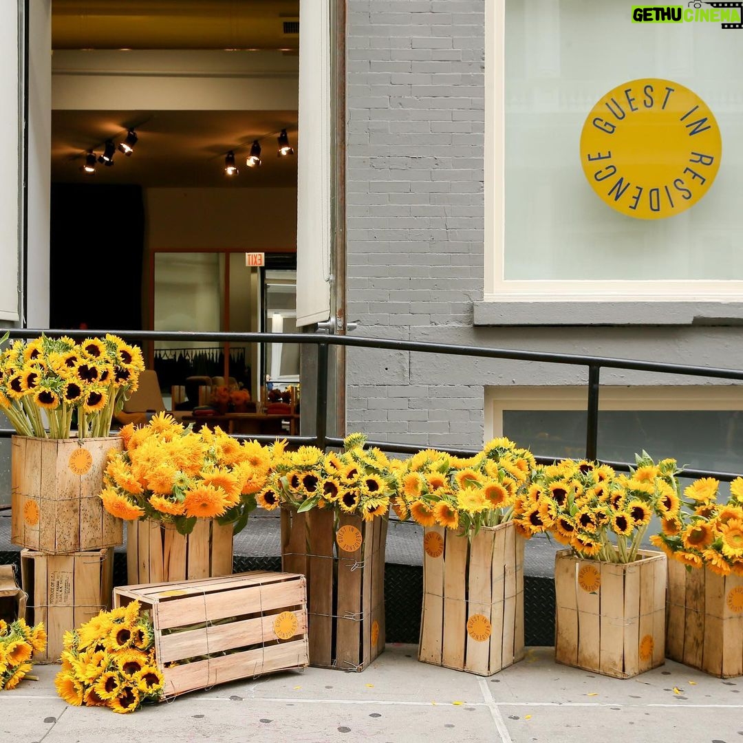 Gigi Hadid Instagram - NYC ! The @GUESTINRESIDENCE “FEEL SHOP” is OPEN ALL WEEK ! Through Sept 17th @ 12 Mercer St, NYC, 11am - 7pm 🌻 Please come see us to feel + shop the “CORE COLLECTION” (+ sip on some @kineuphorics, thanks @bellahadid)! There will be fun lil things goin on in the shop all week :) 📒🪡☕️🌻🍦 HUGE THANKS and love to everyone who stopped by to support us on day 1 of our first retail experience && to my amazing GiR team— without them, none of this would be possible. 💛 I love working with you all so much. @guestinresidence