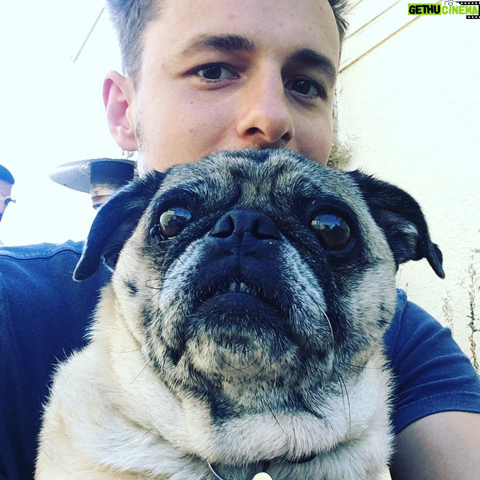 Giles Matthey Instagram - Moose and I wish you the happiest of 4th of July! #puglife