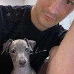 Giles Matthey Instagram - Sooooo. Guys meet Toni. My Italian greyhound son. You may be seeing a bit more of him on here. #puppylove #iggy #italiangreyhound #son